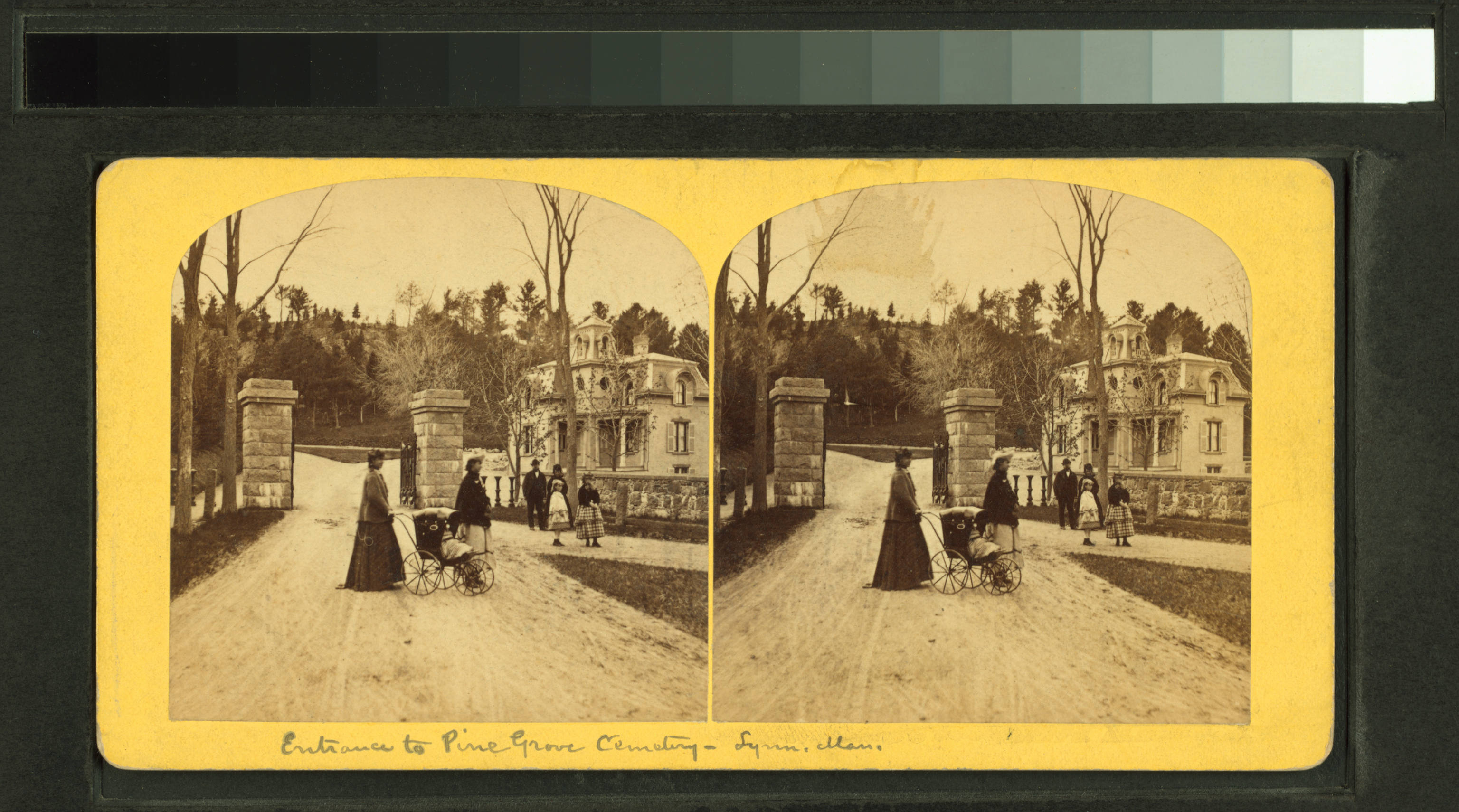 Vintage stereo card of a park, New York Public Library