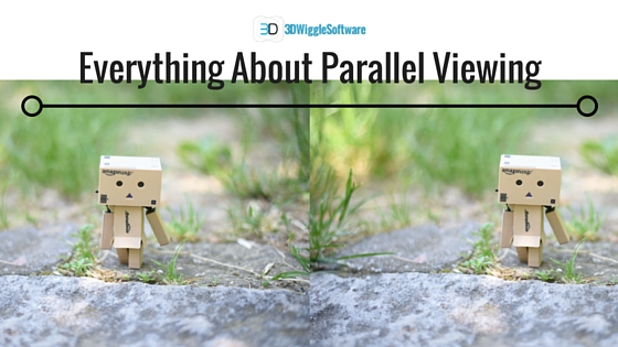 Parallel_Viewing_stereogram_3dwiggle