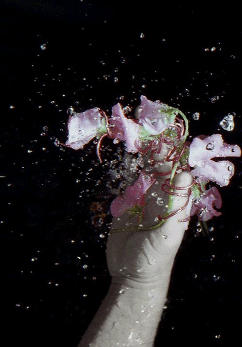 hand and flowers with black background